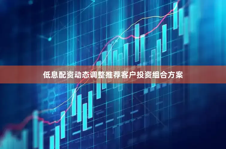 低息配资动态调整推荐客户投资组合方案