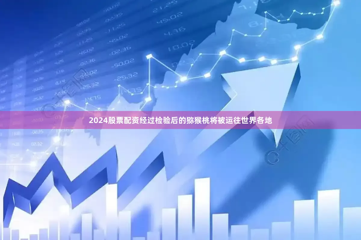 2024股票配资经过检验后的猕猴桃将被运往世界各地