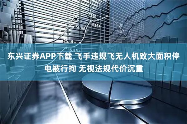 东兴证券APP下载 飞手违规飞无人机致大面积停电被行拘 无视法规代价沉重