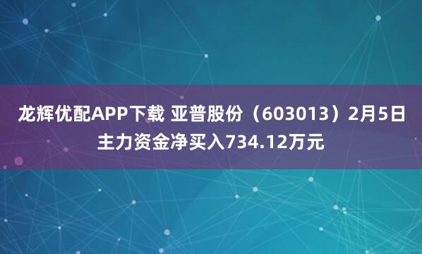 龙辉优配APP下载 亚普股份(603013)2月5日主力资金净买入734.12万元