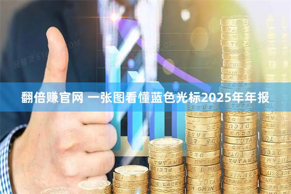翻倍赚官网 一张图看懂蓝色光标2025年年报
