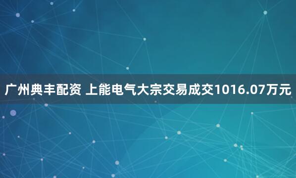 广州典丰配资 上能电气大宗交易成交1016.07万元